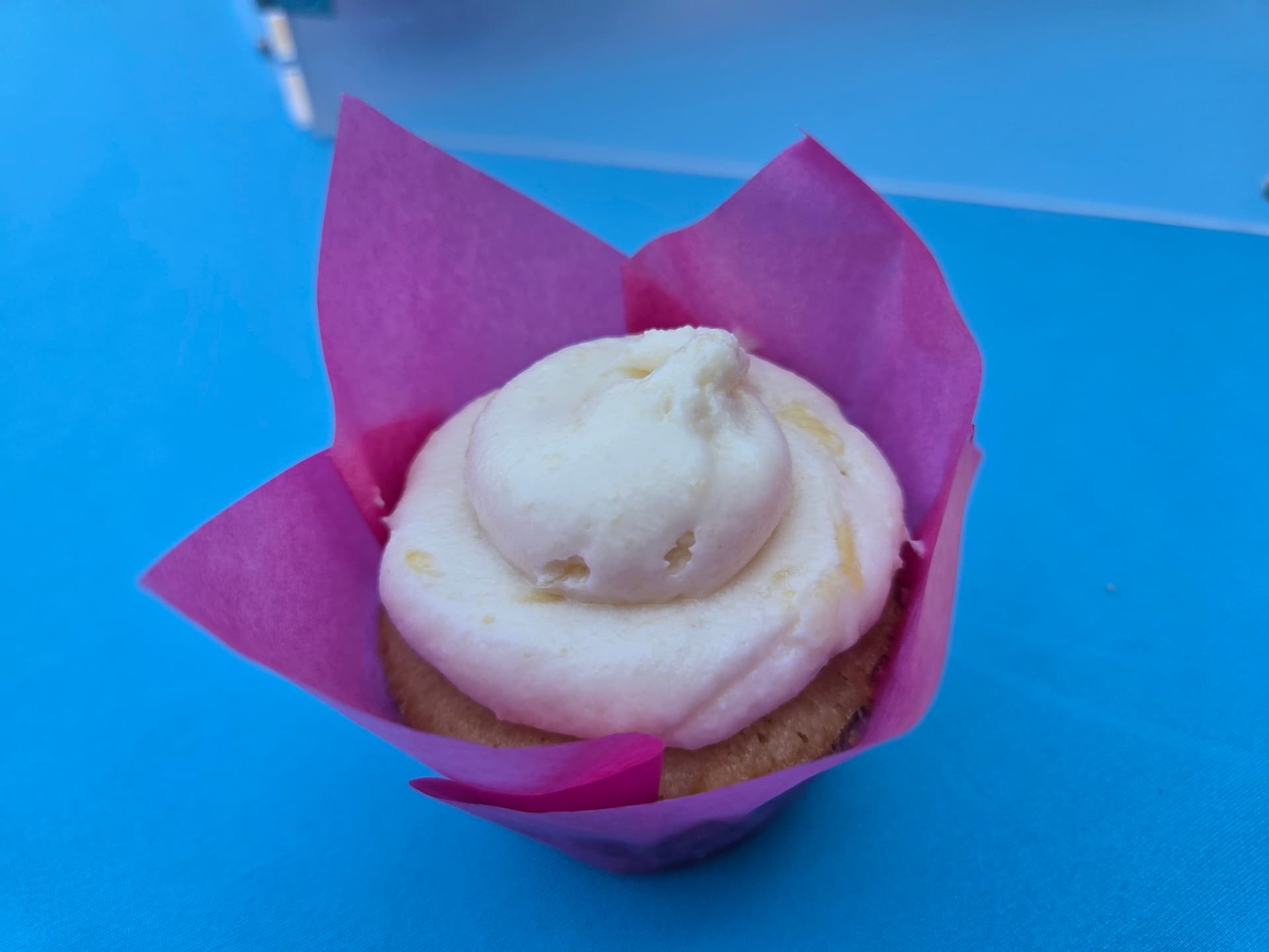 Vanilla cupcake with buttercream swirl in a pink liner
